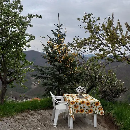 Casa Laika * Maissana