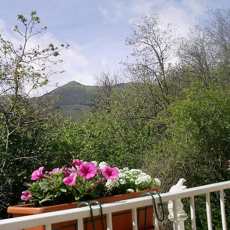 Casa Laika Appartement *