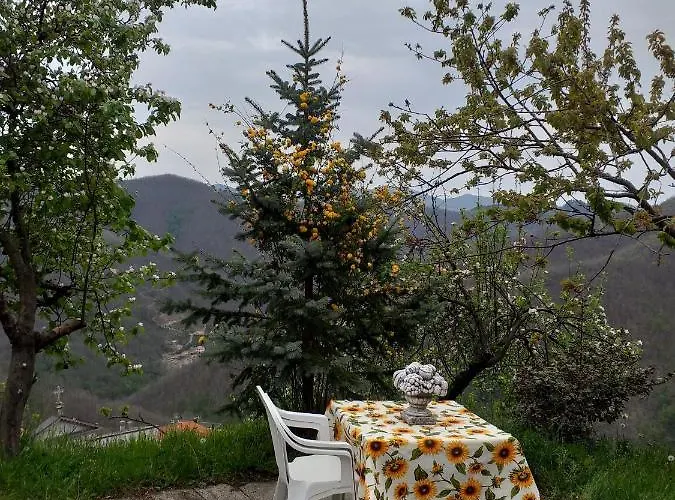 Casa Laika * Maissana